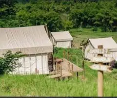 Safari Tents Para Acampar En Costa Rica