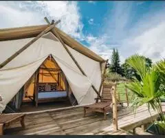 Safari Tents Para Acampar En Costa Rica