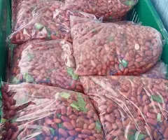 Frijoles Tiernos En Bolsa Muy Barato