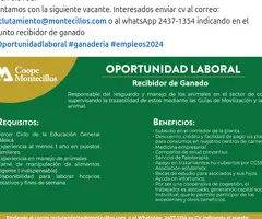 Recibidor Del Ganado Reclutamiento Responsable De Recibir Animales