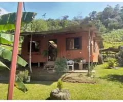 Bella Mini Quinta Para La Venta