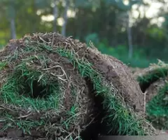 Gran Cantidad De Césped En Rollos Para Escoger