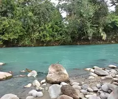 Bellissima Propiedad Finca Con 15 Hectáreas