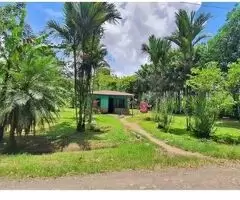 Se Vende Finca De 1 Hectárea