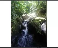 Terreno Con Casa De Madera Antigua Para Vender