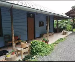 Terreno Con Casa De Madera Antigua Para Vender