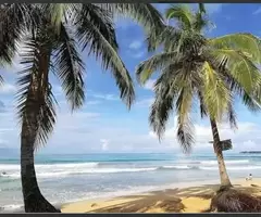 Relajarse en las Paradisíacas Playas del Caribe Americano