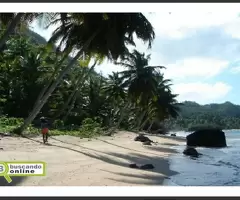 Bellos y amplios terrenos lineales a la playa en punta Cana Bavaro Miches en venta